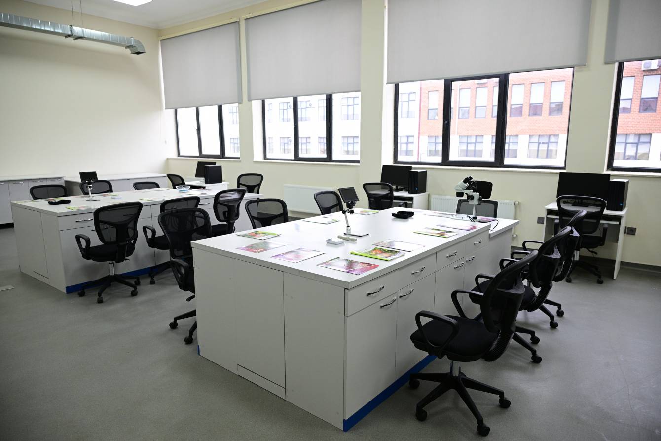 gallery-photo