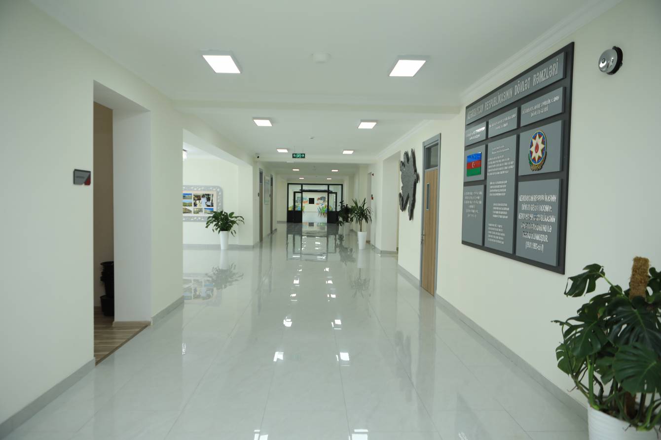 gallery-photo