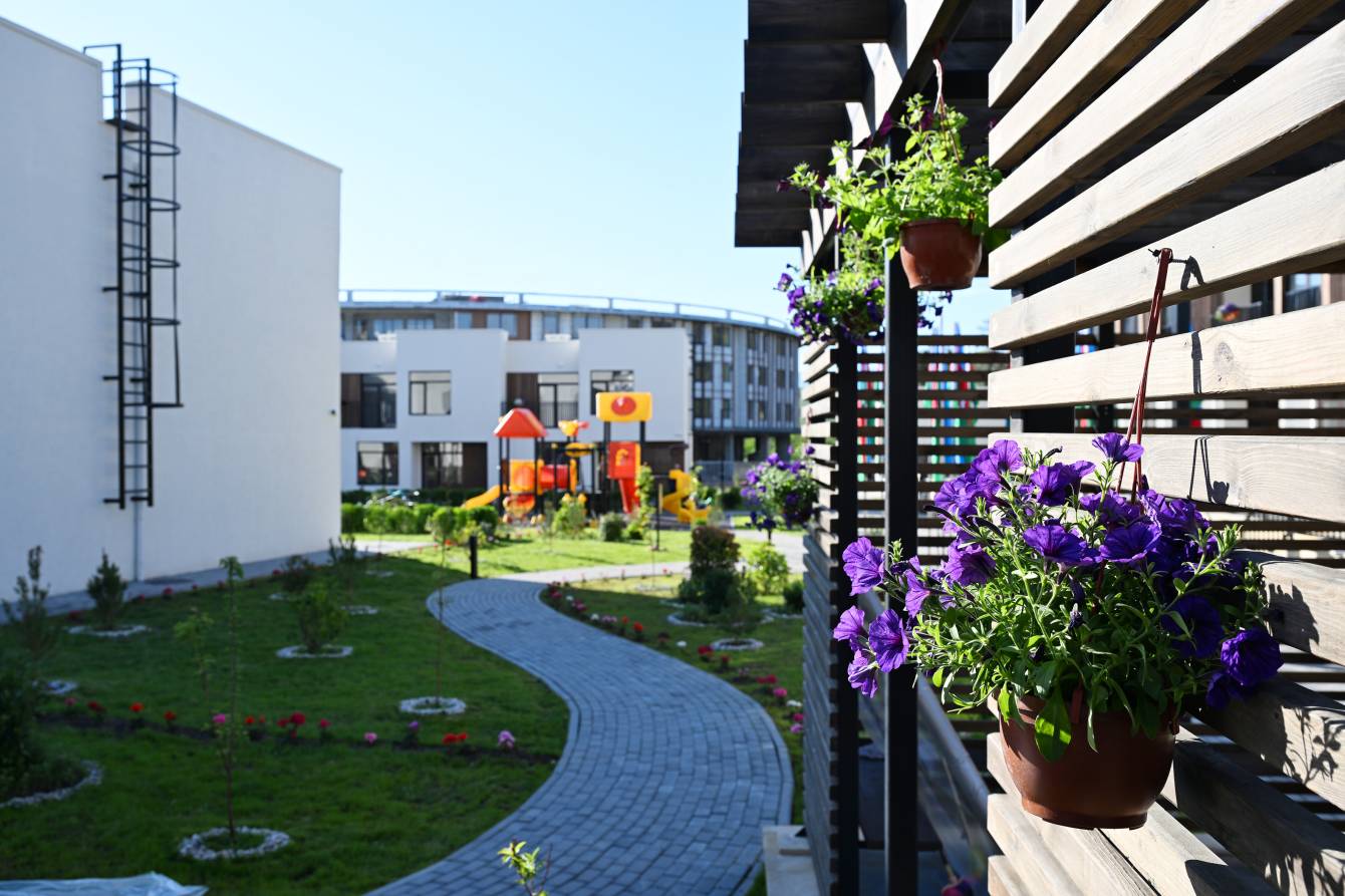 gallery-photo