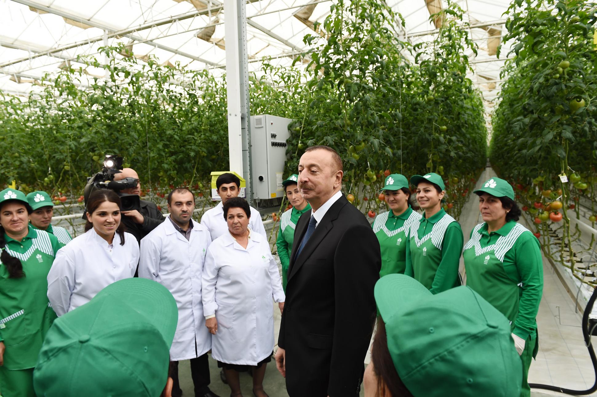 Baku Agropark. Новости часа в азербайджане на фейсбук