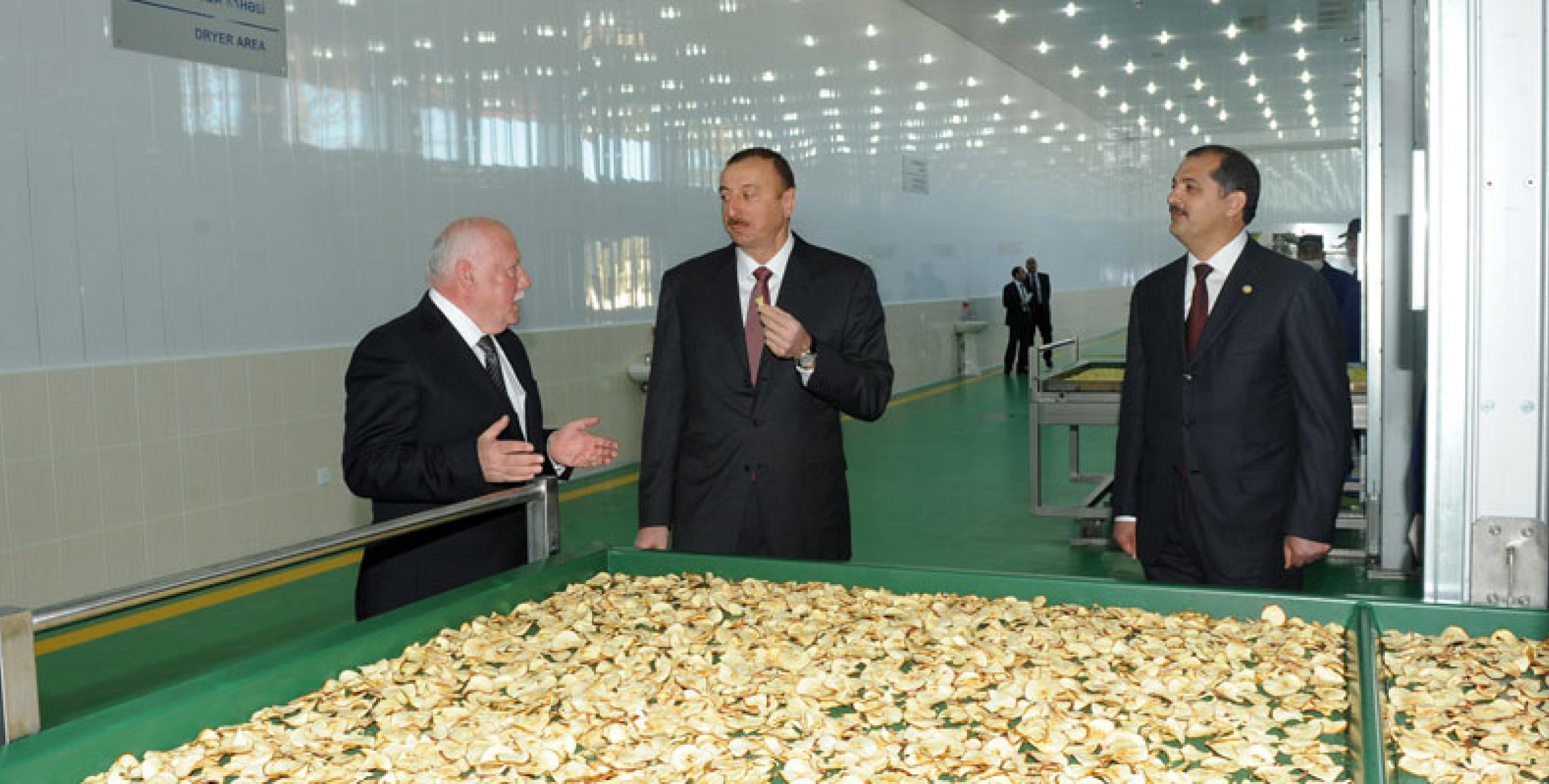 Ильхам Алиев принял участие в открытии в Самухе предприятия по сушке и переработке фруктов