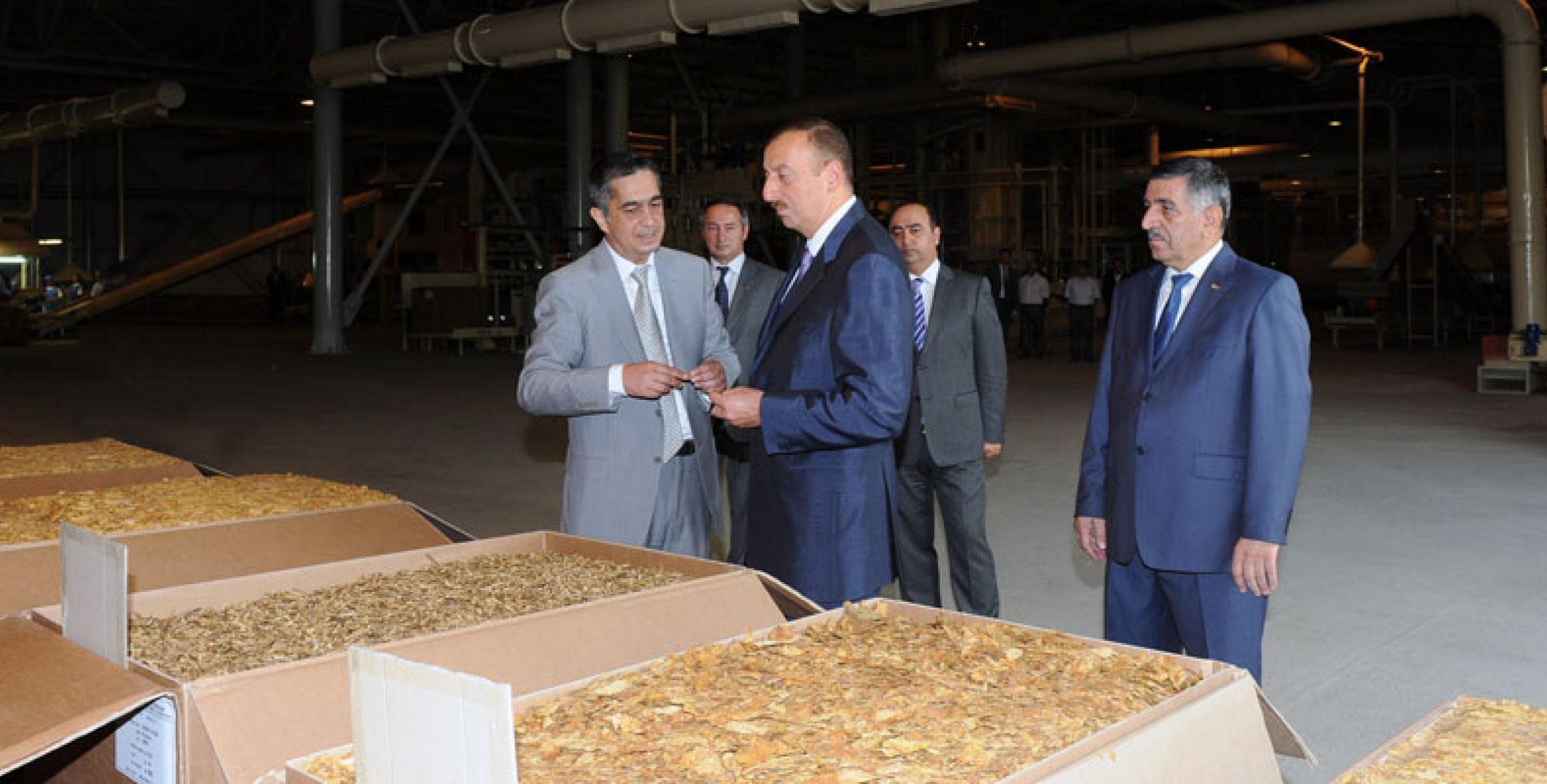 Ilham Aliyev attended the opening ceremony of Zagatala tobacco processing plant