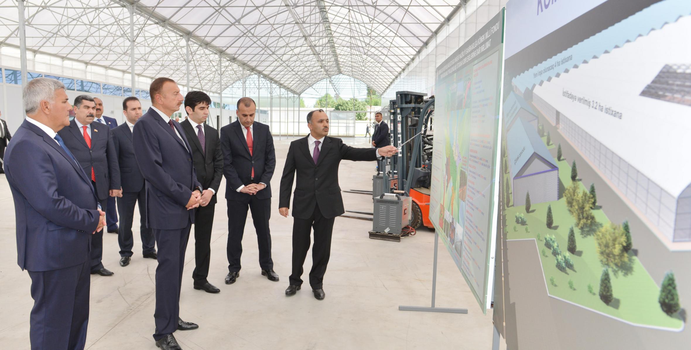 Ilham Aliyev attended the opening of a modern greenhouse complex in Sabirabad