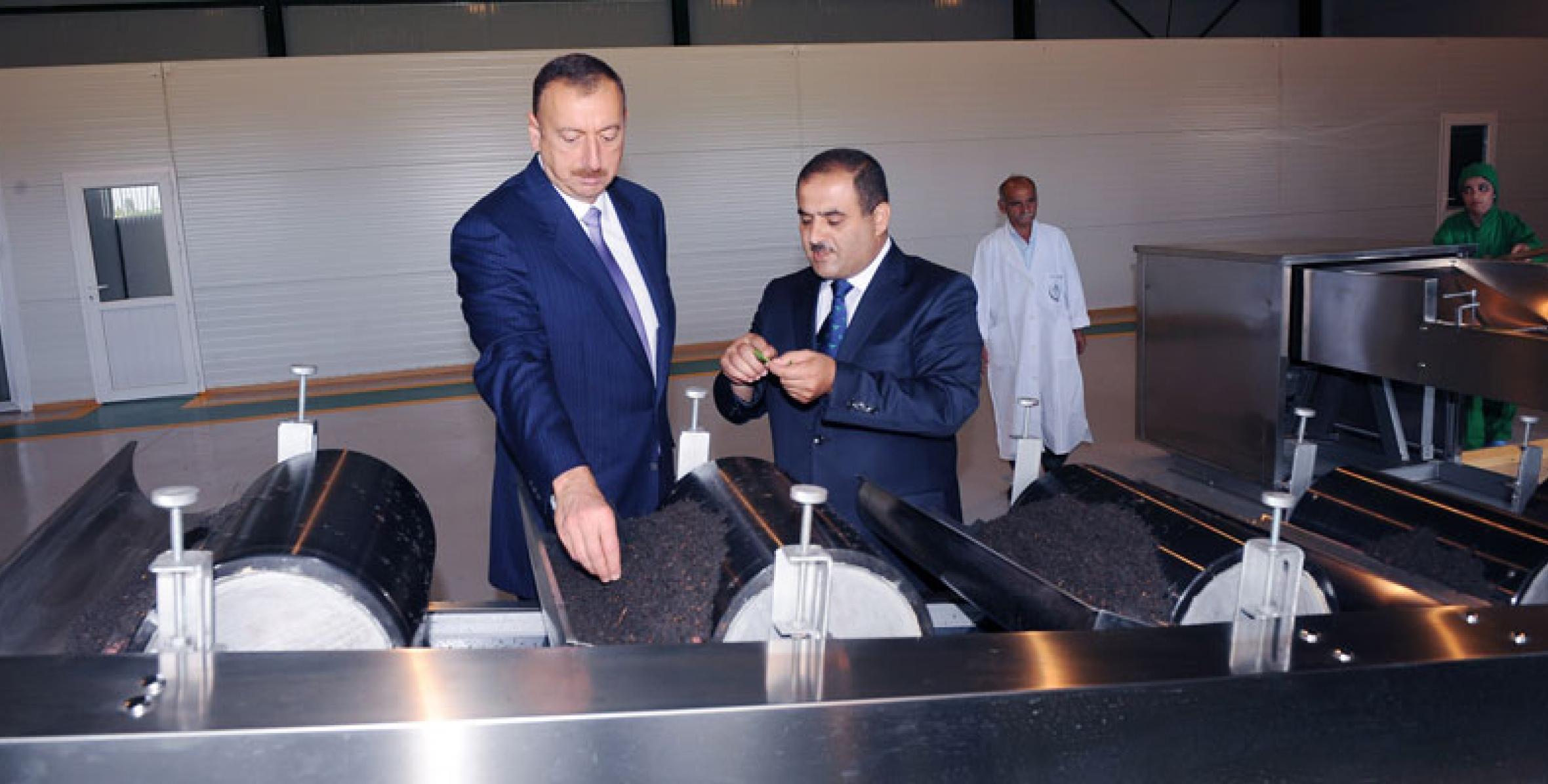 Ilham Aliyev attended the opening ceremony of a tea factory in Lankaran