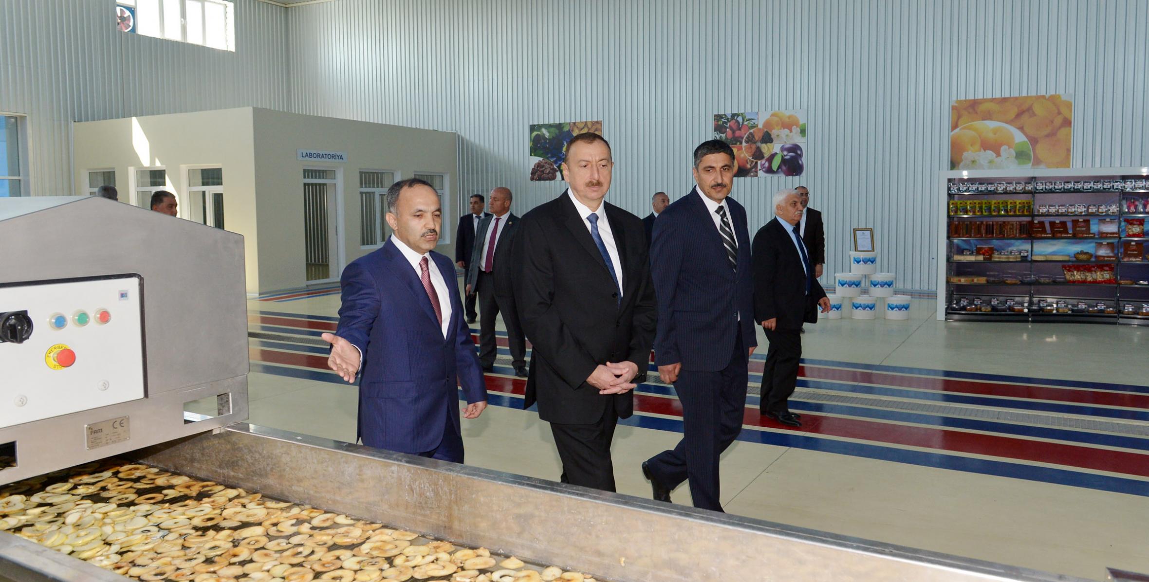 Ilham Aliyev attended the opening ceremony of the Agdash fruit processing factory