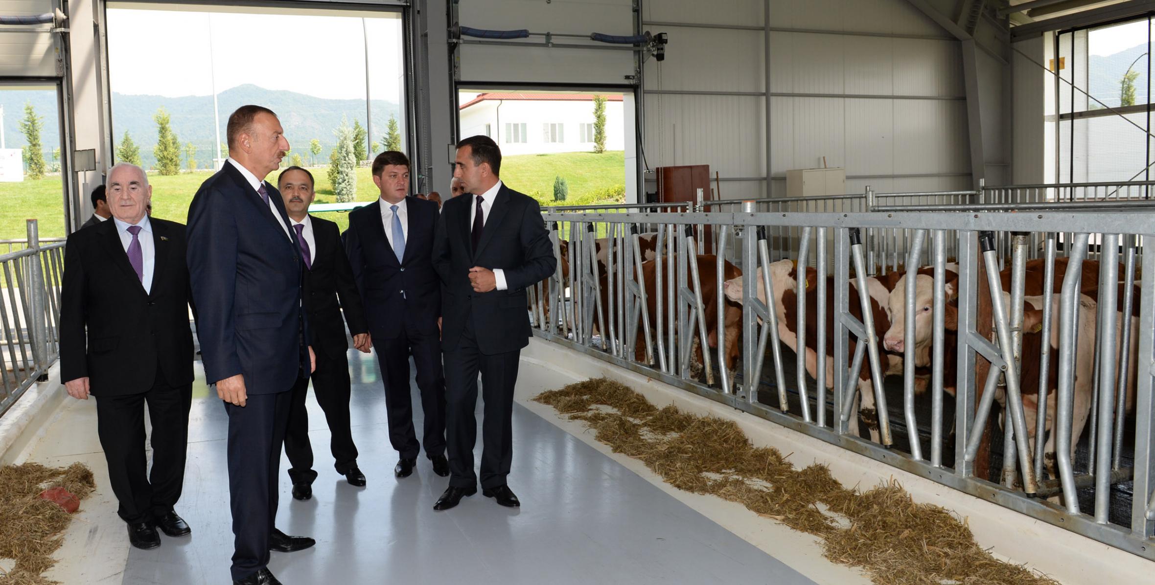Ильхам Алиев в рамках поездки в Габалу принял участие в открытии агропромышленного комплекса ООО «Агро Комплекс Габала»