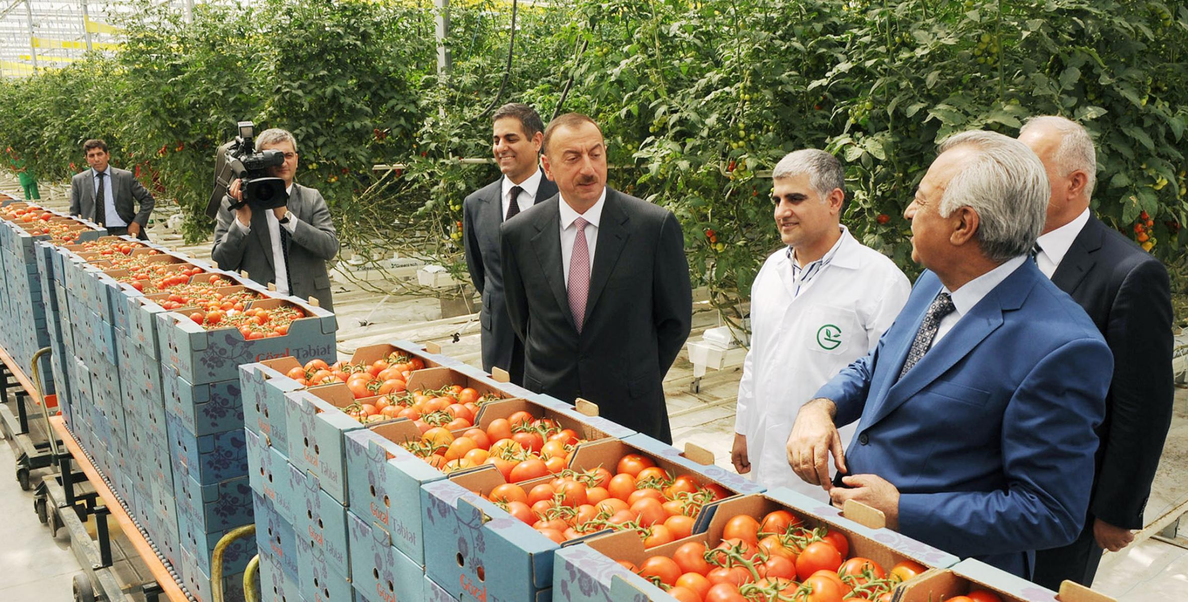 Ильхам Алиев ознакомился с современным тепличным комплексом ОOO Green Tech Группы компаний «Азерсун Холдинг»