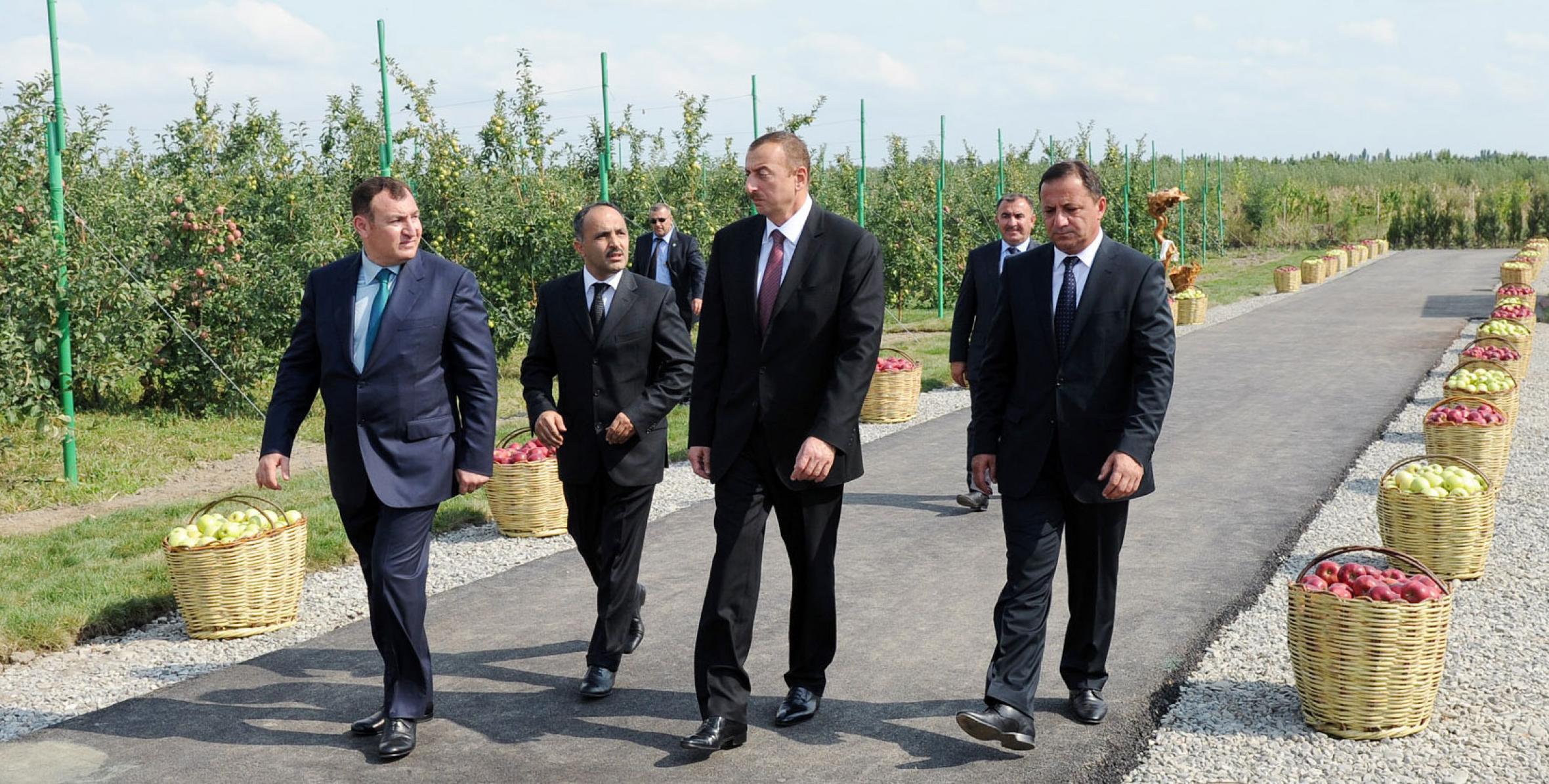 Ильхам Алиев ознакомился с комплексом холодильного склада для сортировки и хранения фруктов, построенным в Губе ООО «ИКАР-С»