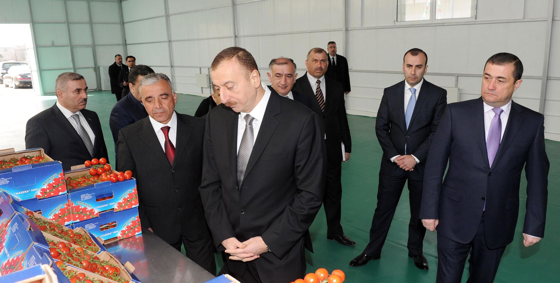 Ilham Aliyev attended the opening of a refrigerated warehouse and a greenhouse of the Masera LLC