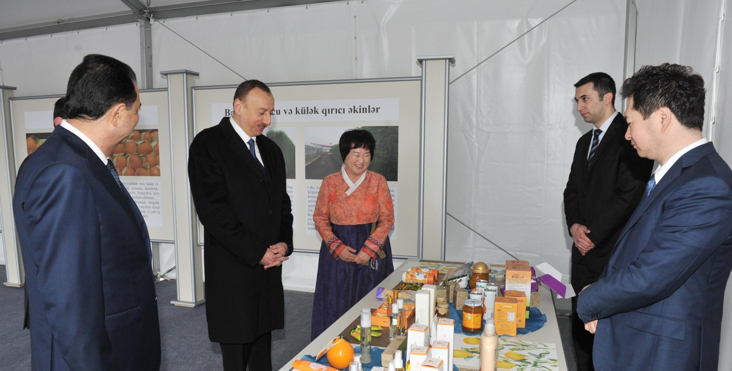 Ильхам Алиев ознакомился с новым хозяйством «Гилан агро-цитрус»