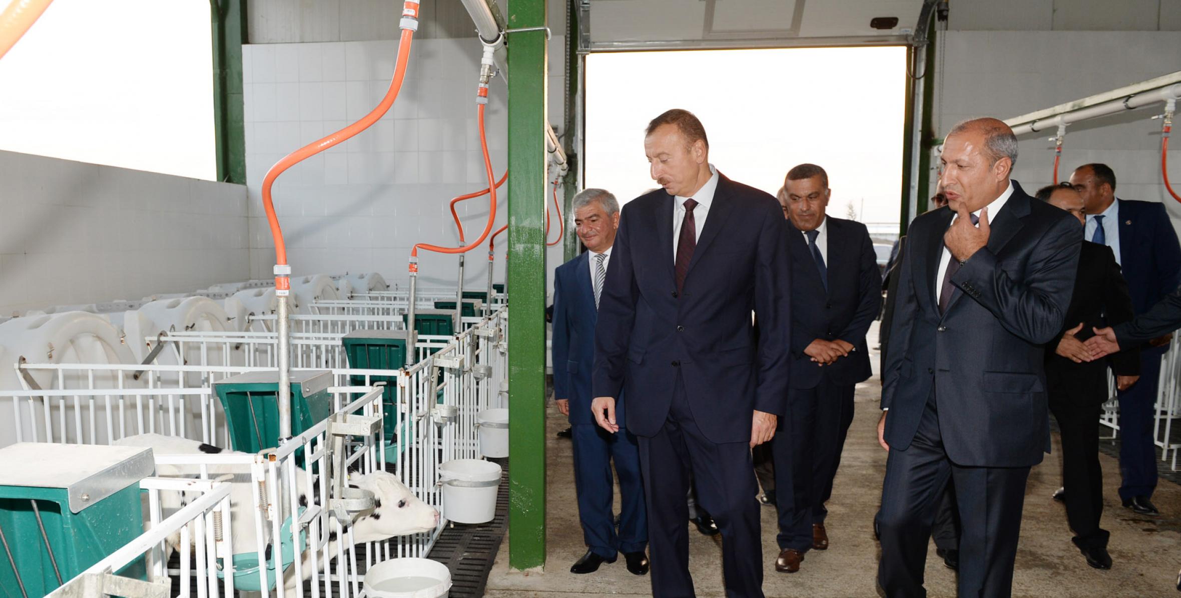 Ильхам Алиев принял участие в открытии в Агджабеди животноводческого комплекса «Агат-агро»