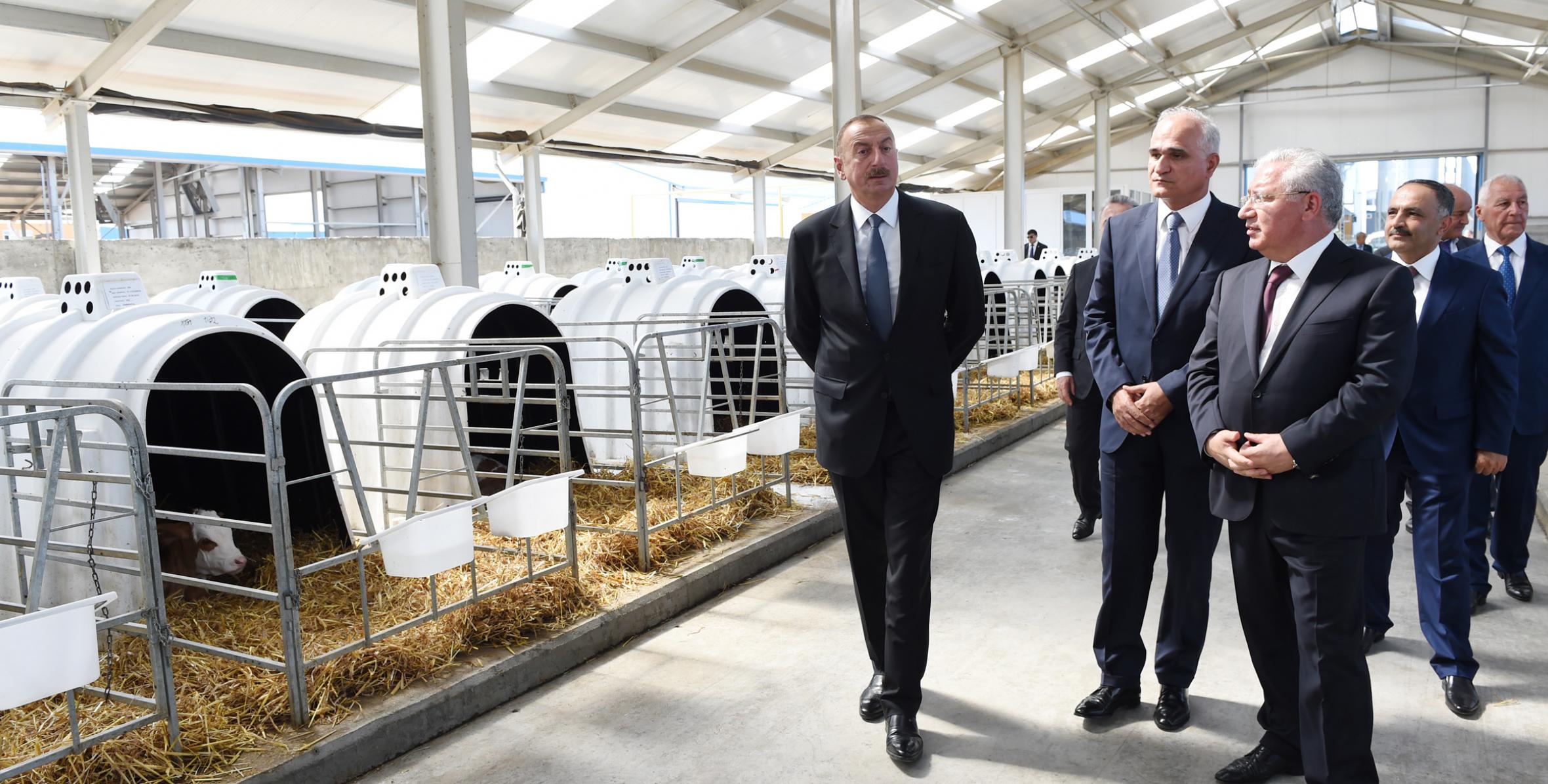 Ilham Aliyev inaugurated Yalama Agropark
