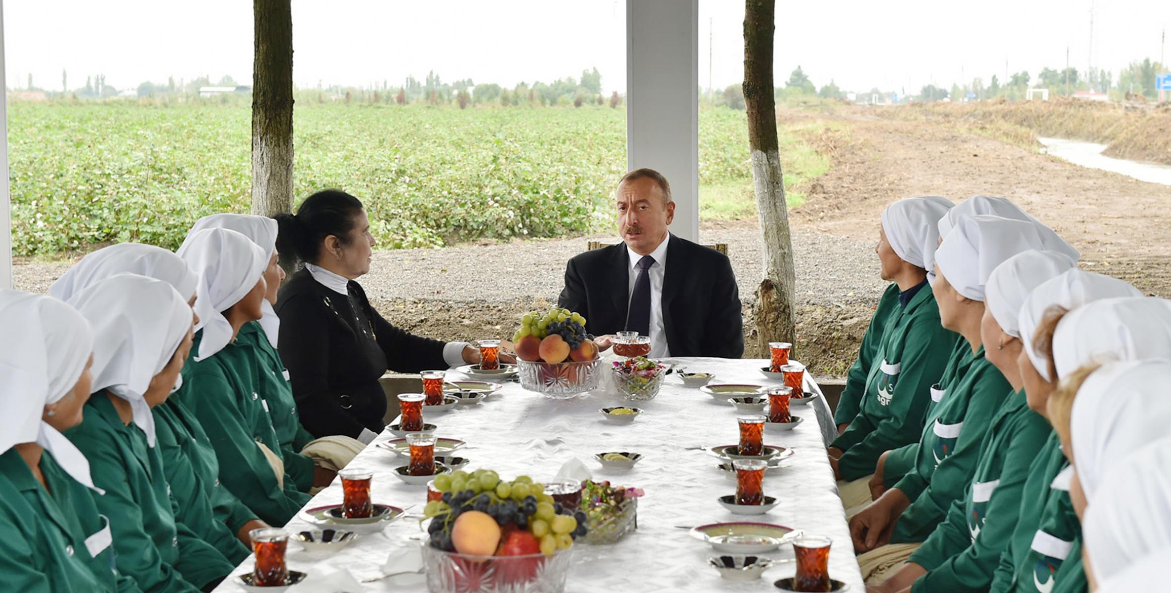 Ilham Aliyev viewed cotton plantation in Sabirabad
