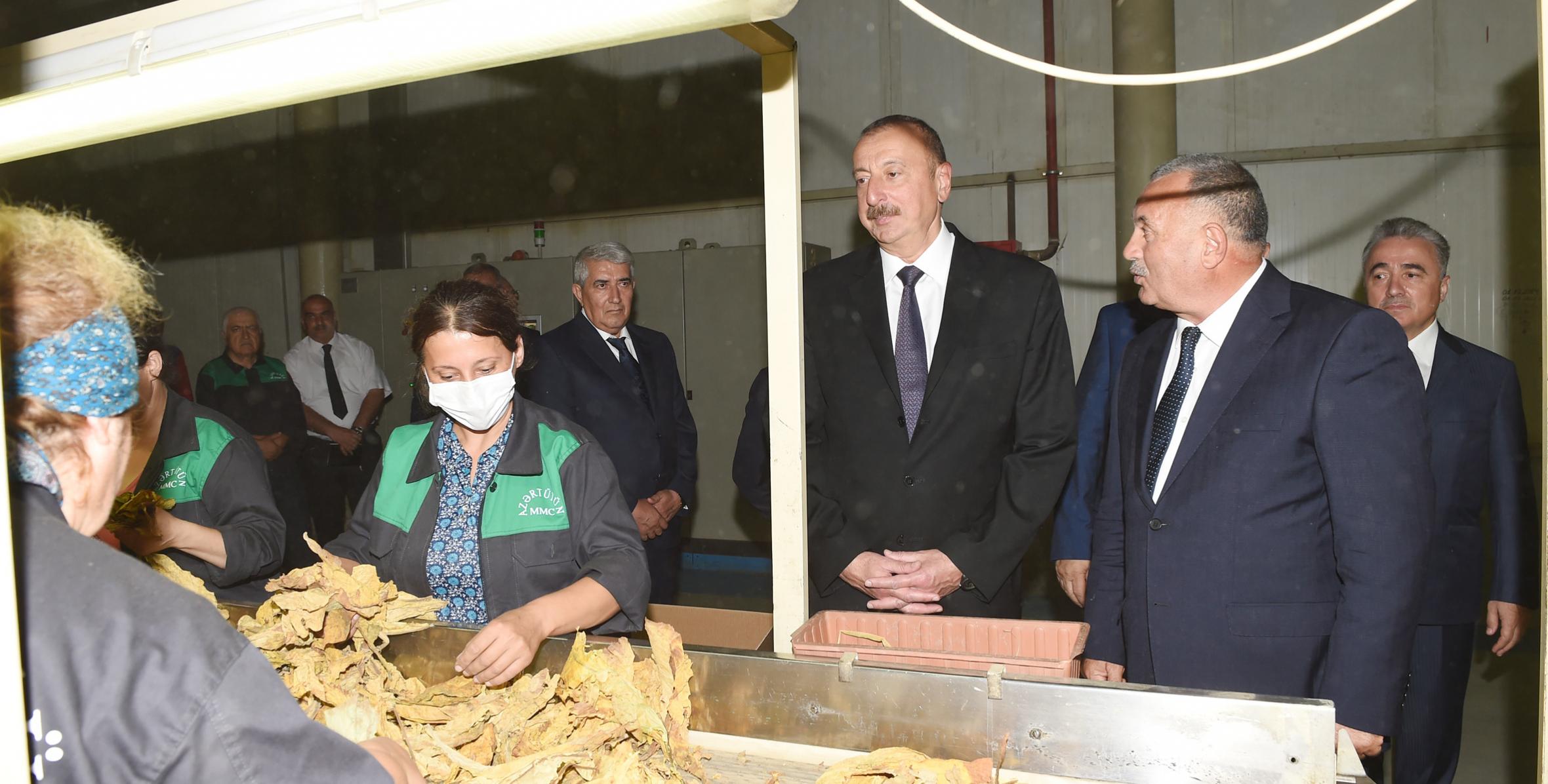 Ильхам Алиев ознакомился в Загатала с деятельностью завода по переработке табака