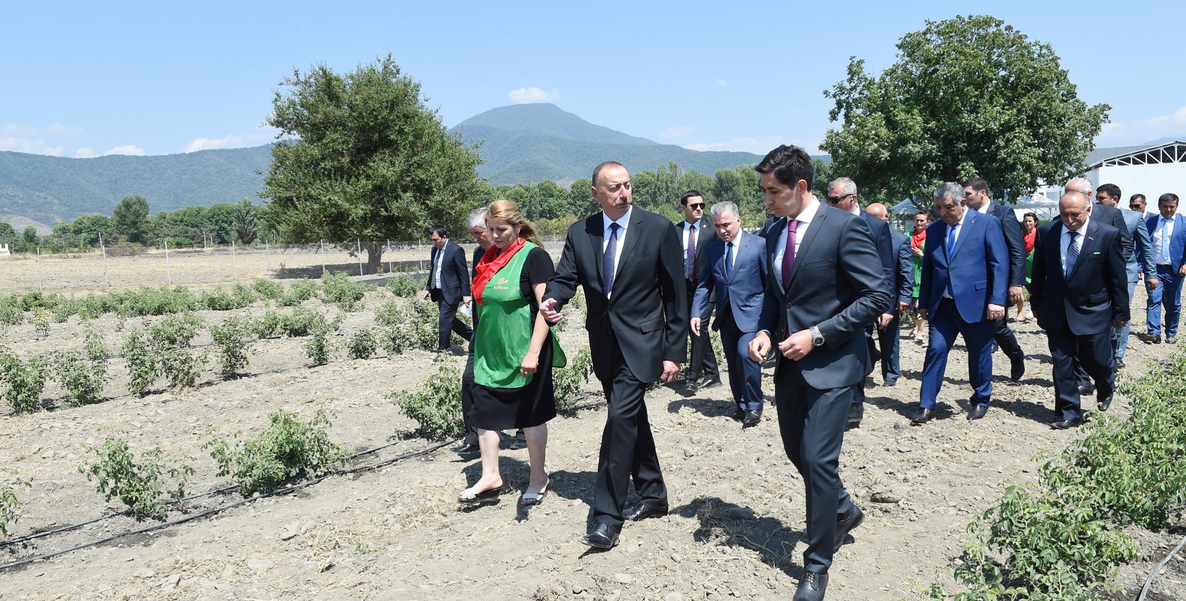 Ильхам Алиев ознакомился со строящимся предприятием по производству розового масла ООО «AzRose»