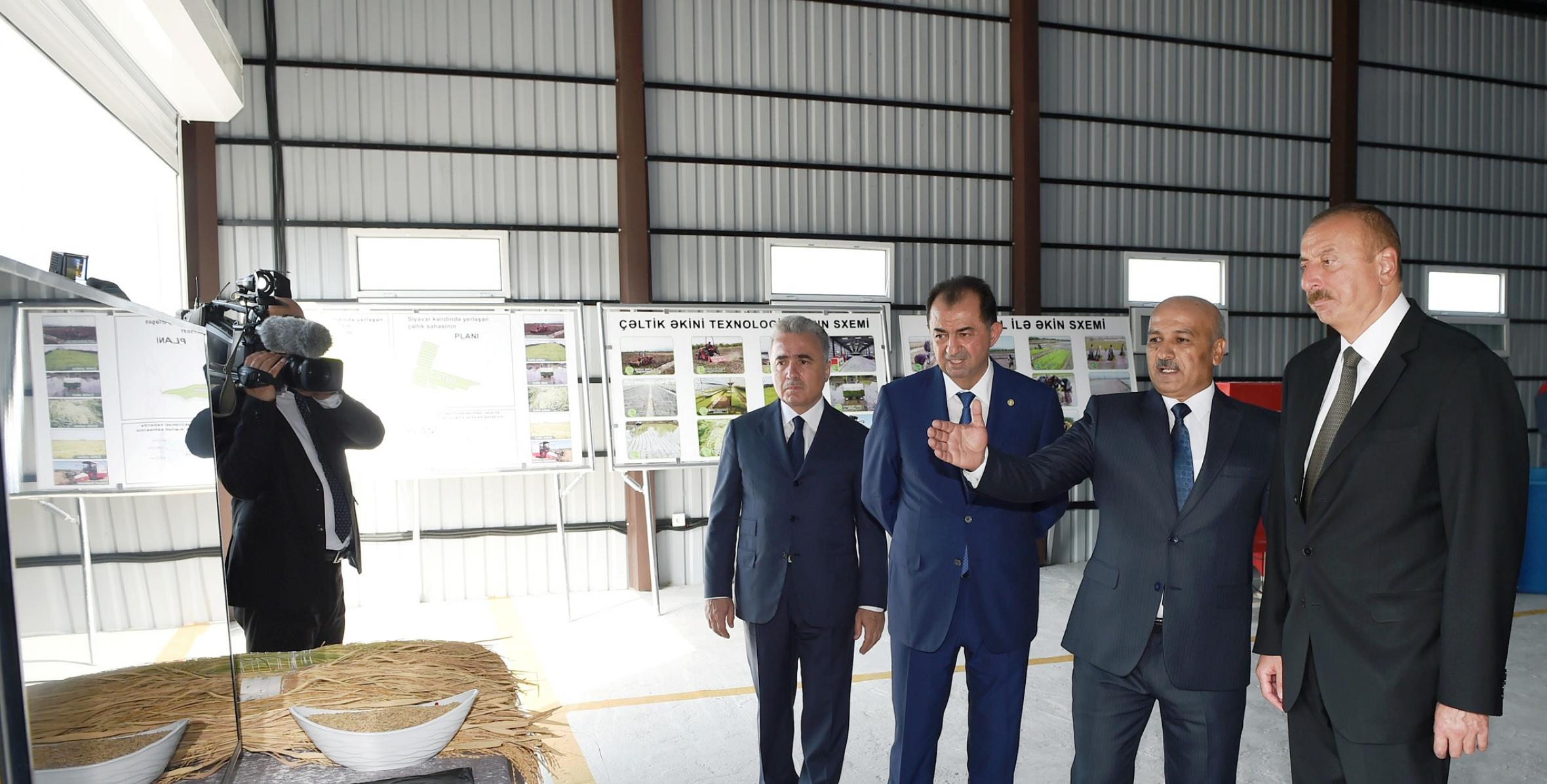Ильхам Алиев посмотрел рисовые участки ООО «Джануб-Агро» и открыл рисовый завод в Лянкяране
