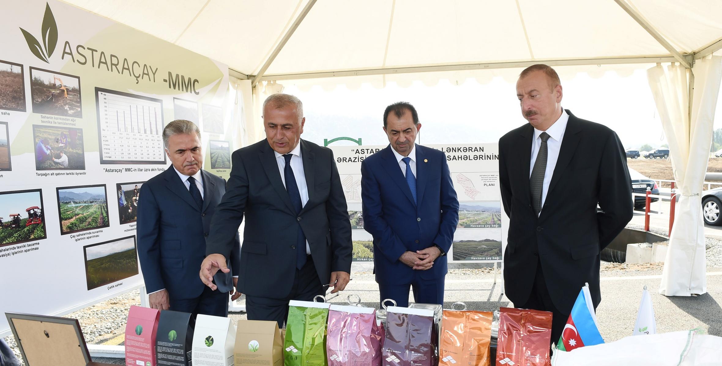 İlham Əliyev Lənkəranda “Astaraçay” MMC-nin çay plantasiyalarına baxıb