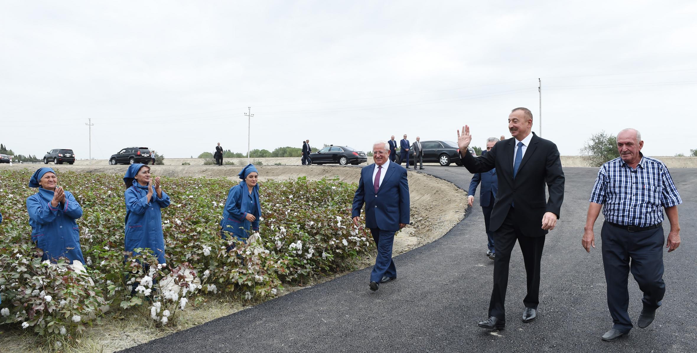 Ilham Aliyev visited cotton plantation in Neftchala district