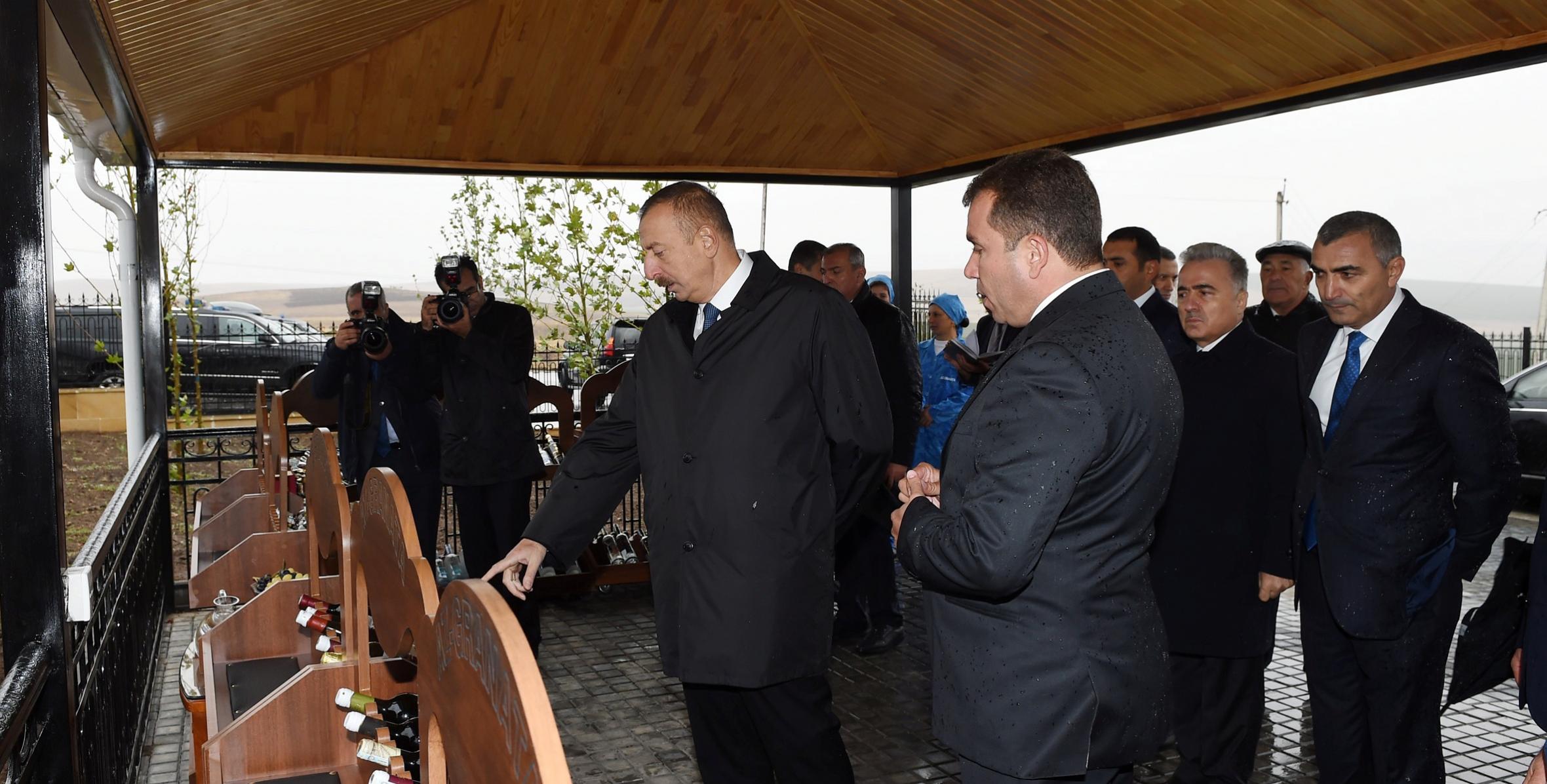 Ильхам Алиев ознакомился в Шамахе с виноградными садами, принадлежащими ООО «Az-Granata»