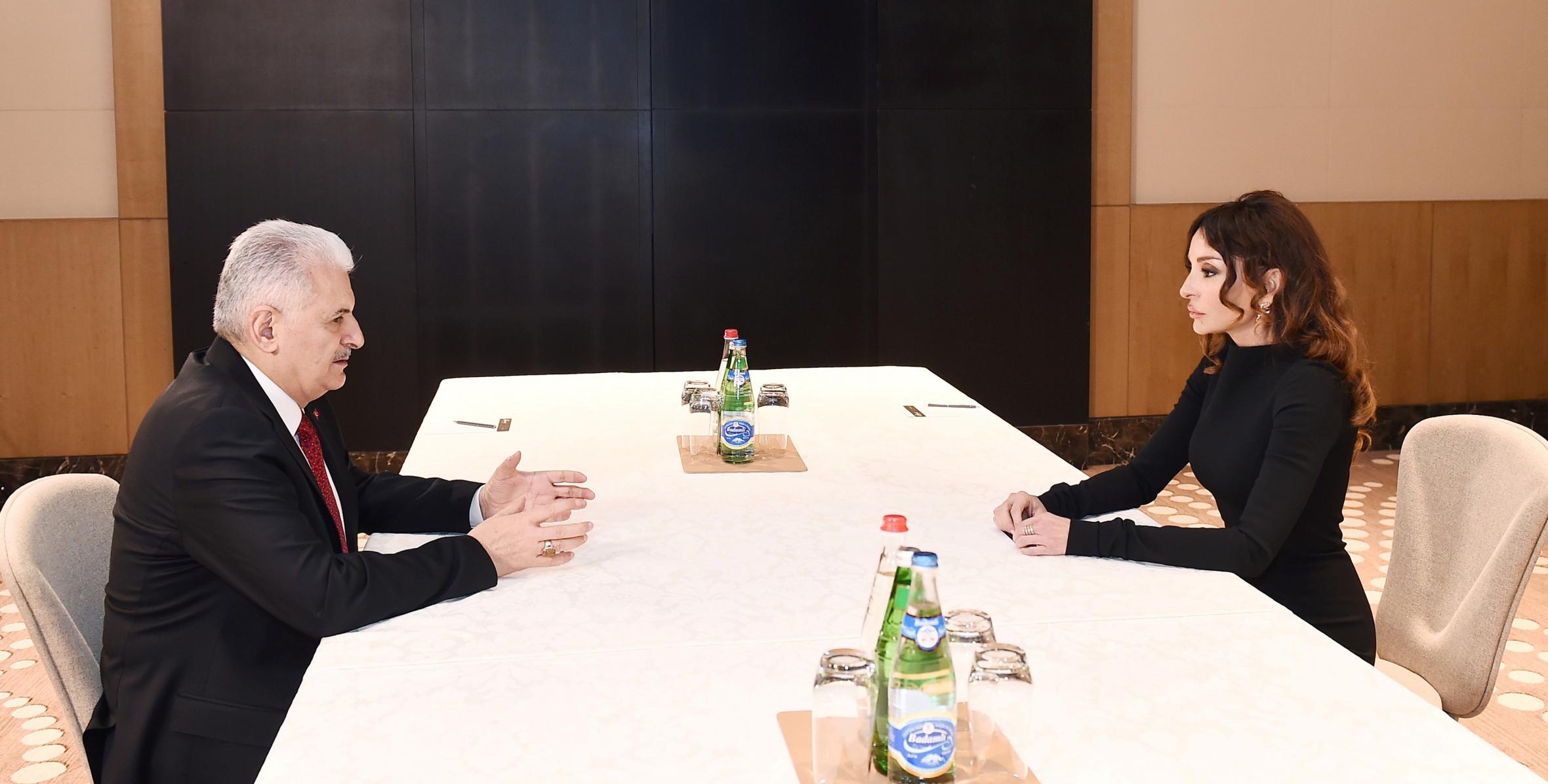 Первый вице-президент Мехрибан Алиева встретилась с премьер-министром Турции Бинали Йылдырымом