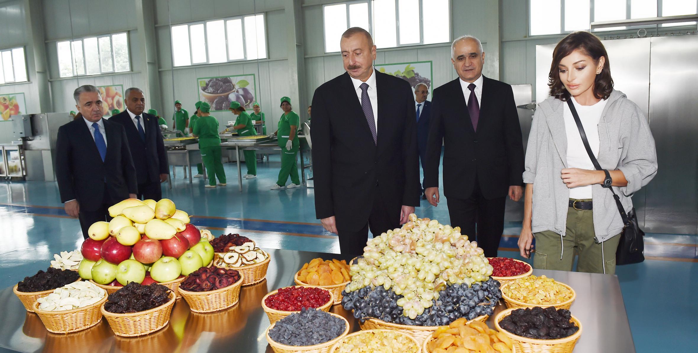 İlham Əliyev “Qubaekoaqrar” MMC-nin kənd təsərrüfatı mallarının istehsalı zavodunun açılışında iştirak edib