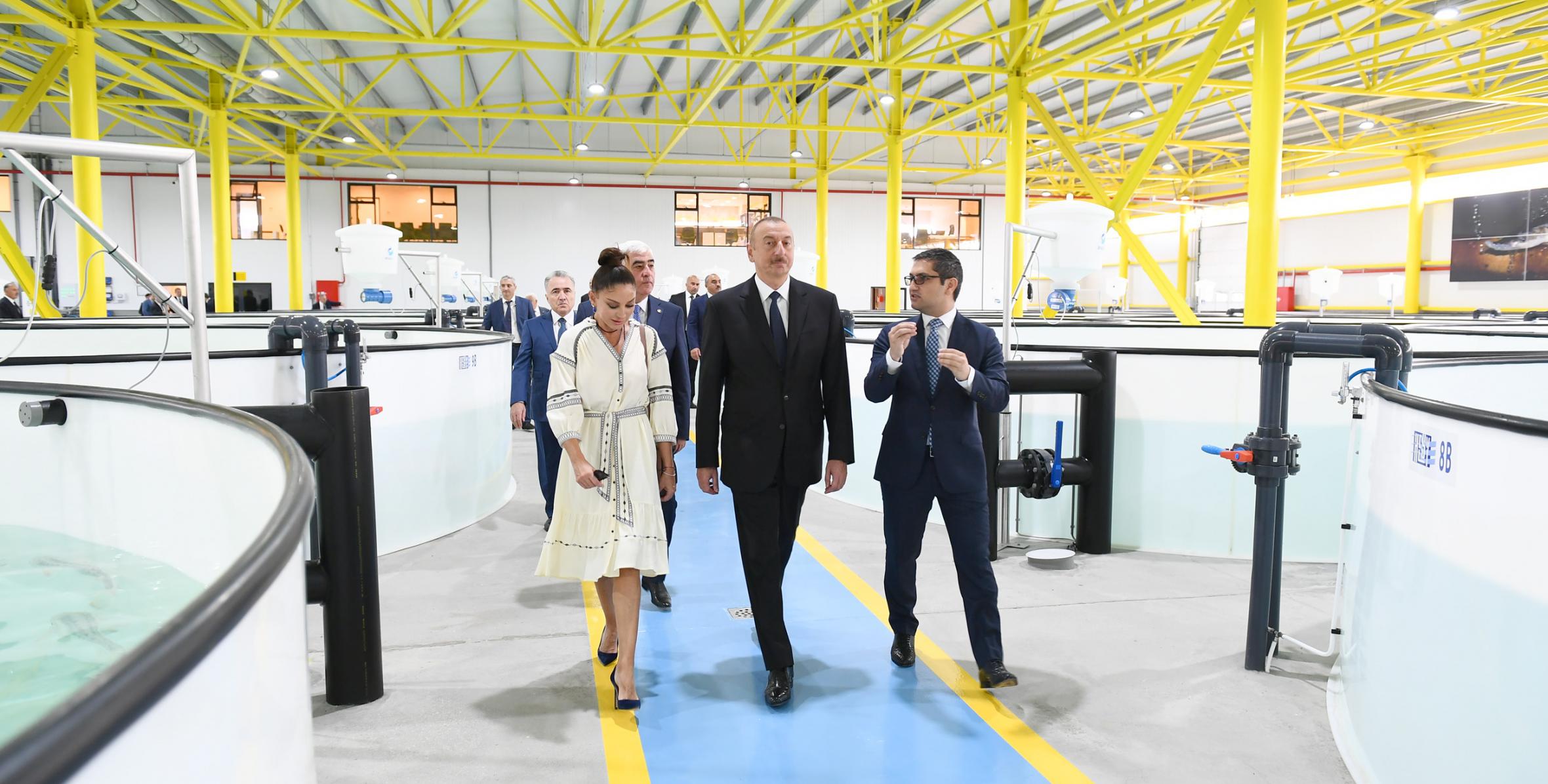 Ilham Aliyev familiarized himself with production process at NaraMIZ fish farm in Pirallahi district