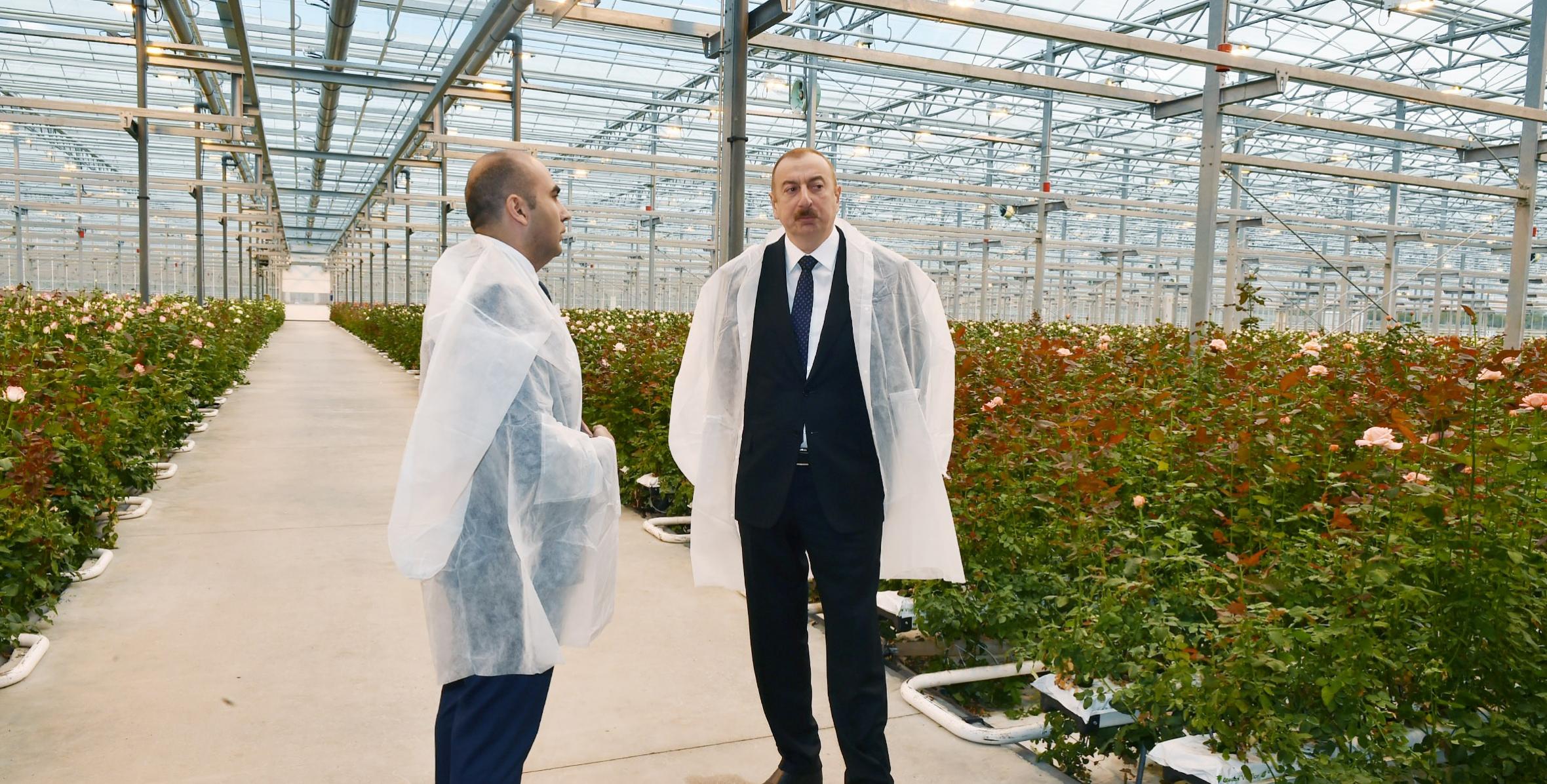 Ilham Aliyev viewed floricultural greenhouse in Gabala