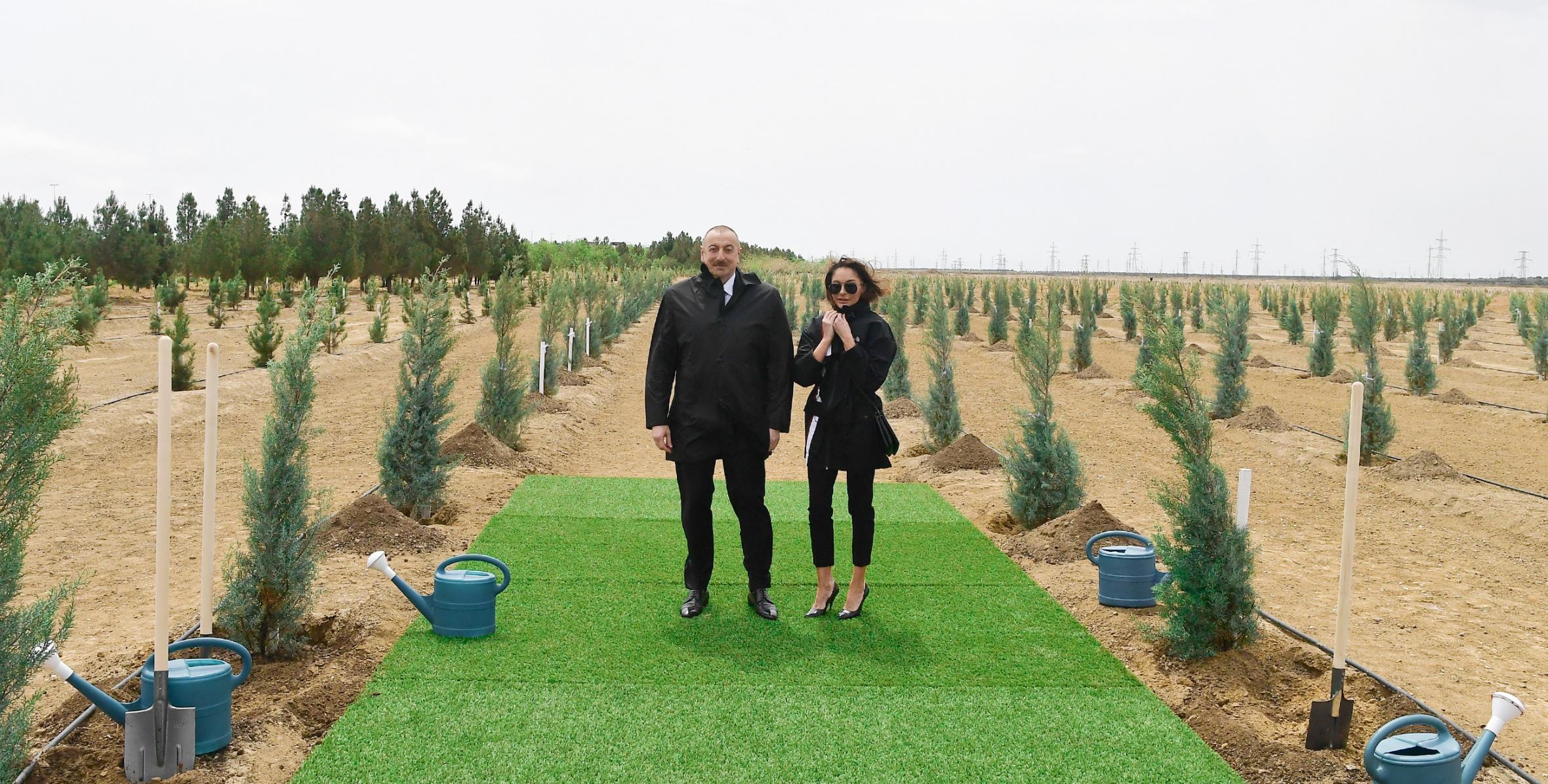 Ильхам Алиев и первая леди Мехрибан Алиева посадили деревья по случаю дня рождения великого лидера Гейдара Алиева
