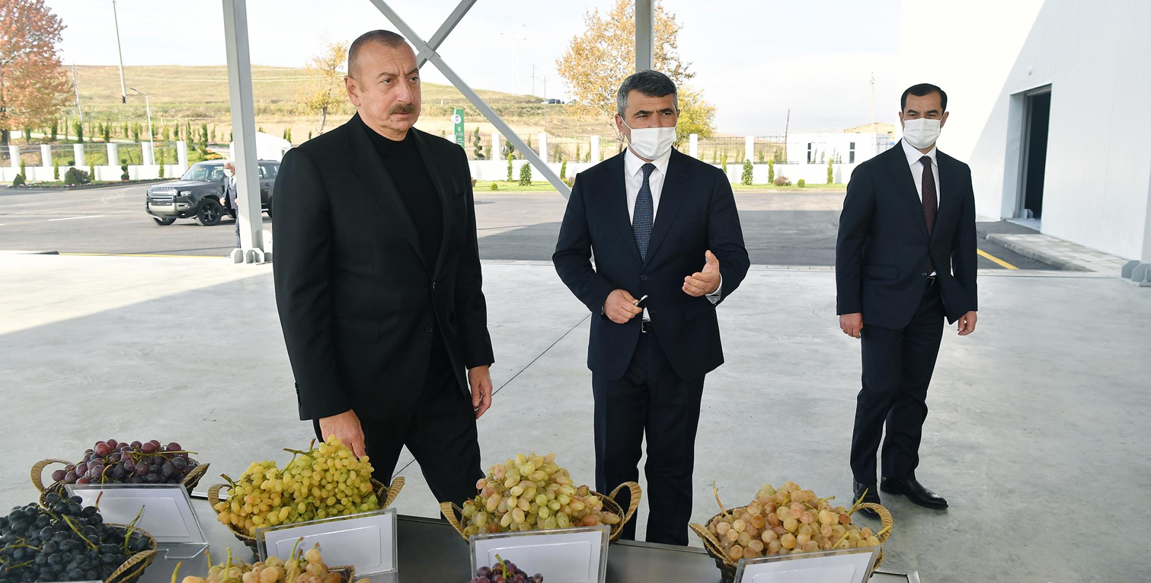 Ilham Aliyev and First Lady Mehriban Aliyeva attended the opening of the Shamakhi Grape Seedling Center