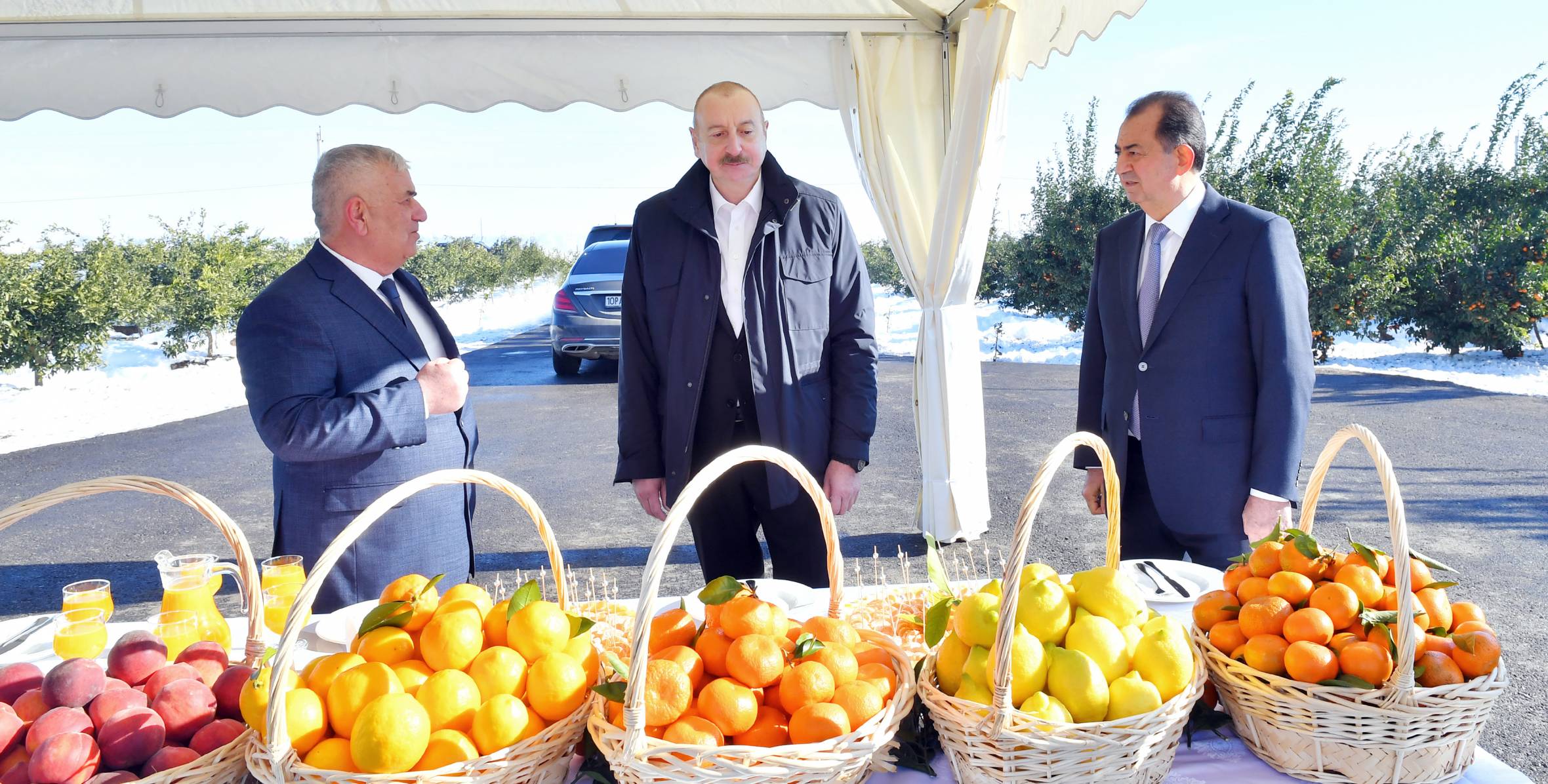 Поездка Президента Ильхама Алиева в Лянкяранский район