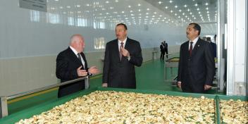 Ilham Aliyev took part in the opening of a fruit drying and processing facility in Samukh