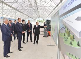 Ilham Aliyev attended the opening of a modern greenhouse complex in Sabirabad