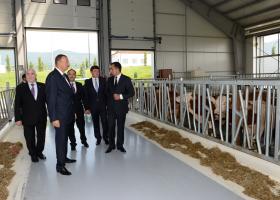 Ilham Aliyev attended the opening of an agro-industrial complex of the “Agro Complex Gabala” LLC