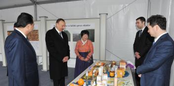 Ilham Aliyev reviewed newly-created “Gilan agro-citrus” farm