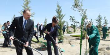 Ilham Aliyev attended tree planting event marking birthday anniversary of national leader Heydar Aliyev