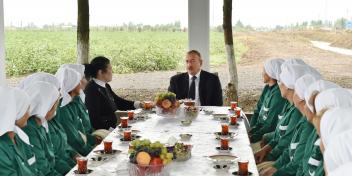 Ilham Aliyev viewed cotton plantation in Sabirabad