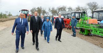 İlham Əliyev Saatlı rayonunun Qıraqlı kəndi ərazisindəki pambıq sahəsi ilə tanış olub