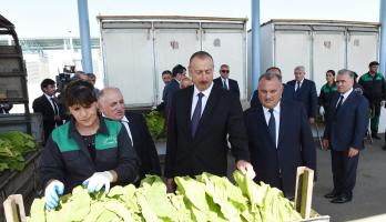 Ilham Aliyev viewed tobacco reception center in Gakh