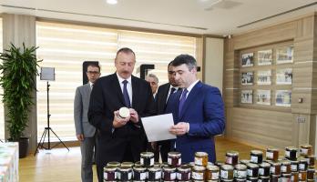 Ilham Aliyev inaugurated ABAD Center in Balakan