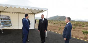 Ilham Aliyev viewed Gilan Orchards LLC`s citrus gardens in Lankaran