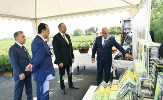 Ilham Aliyev viewed “Yashil Chay” plantation in Lankaran