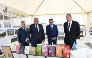 Ilham Aliyev viewed Astara Chay LLC`s tea plantation in Lankaran