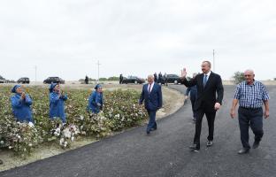 Ilham Aliyev visited cotton plantation in Neftchala district