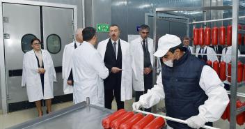 Ilham Aliyev viewed "Zahmat-Ruzi" LLC in Absheron district