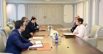 First Vice-President Mehriban Aliyeva met with head of Iran`s Islamic Culture and Relations Organization