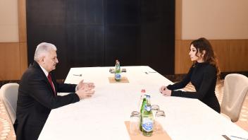 First Vice-President Mehriban Aliyeva met with Turkish Prime Minister Binali Yildirim