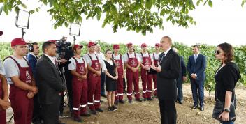 Speech by Ilham Aliyev at the opening of vine-growing and wine-making complex of "Shirvan wines" LLC in Shamakhi district