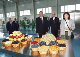 İlham Əliyev “Qubaekoaqrar” MMC-nin kənd təsərrüfatı mallarının istehsalı zavodunun açılışında iştirak edib