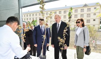 Ilham Aliyev viewed sapling enterprise of Guba Scientific-Research Institute of fruit and tea