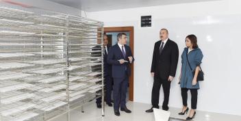 Ilham Aliyev opened newly-reconstructed Gakh Silkworm Breeding Station